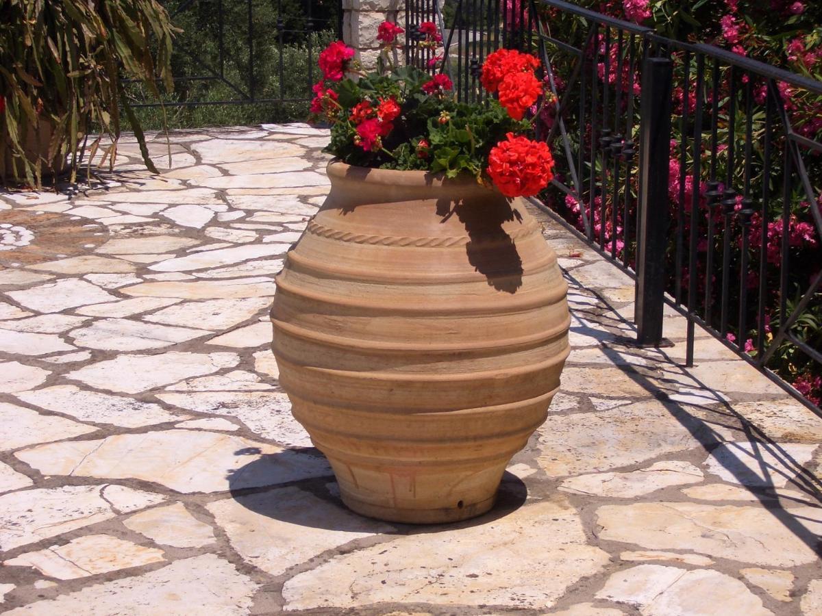 Villa Bacchus Kassiopi Corfu Exterior foto